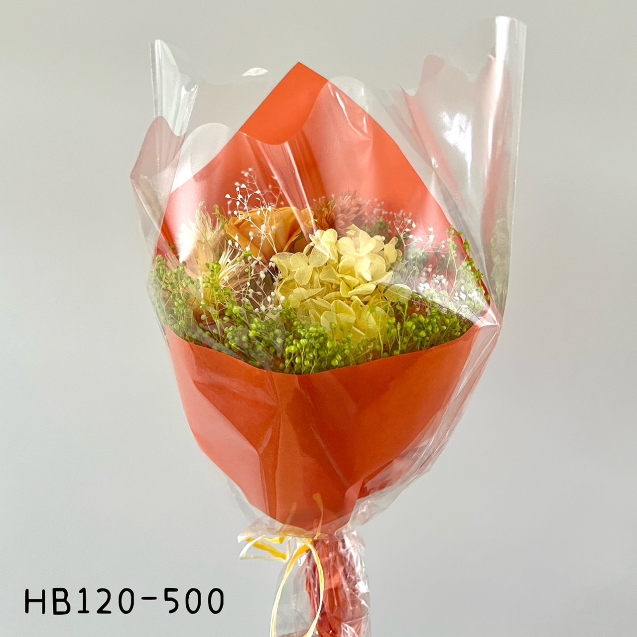 HB120-500