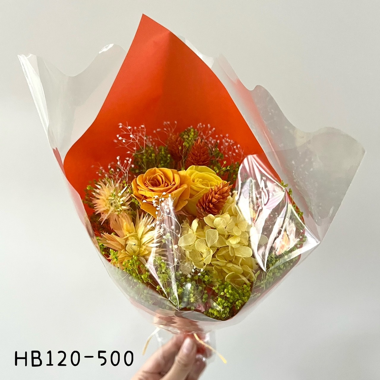 HB120-500