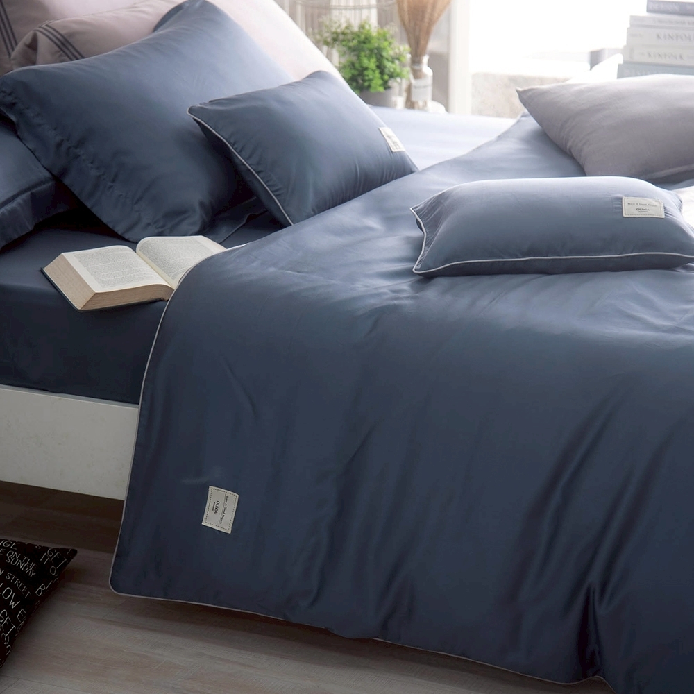 100支天絲兩用被  | 莫蘭迪藍