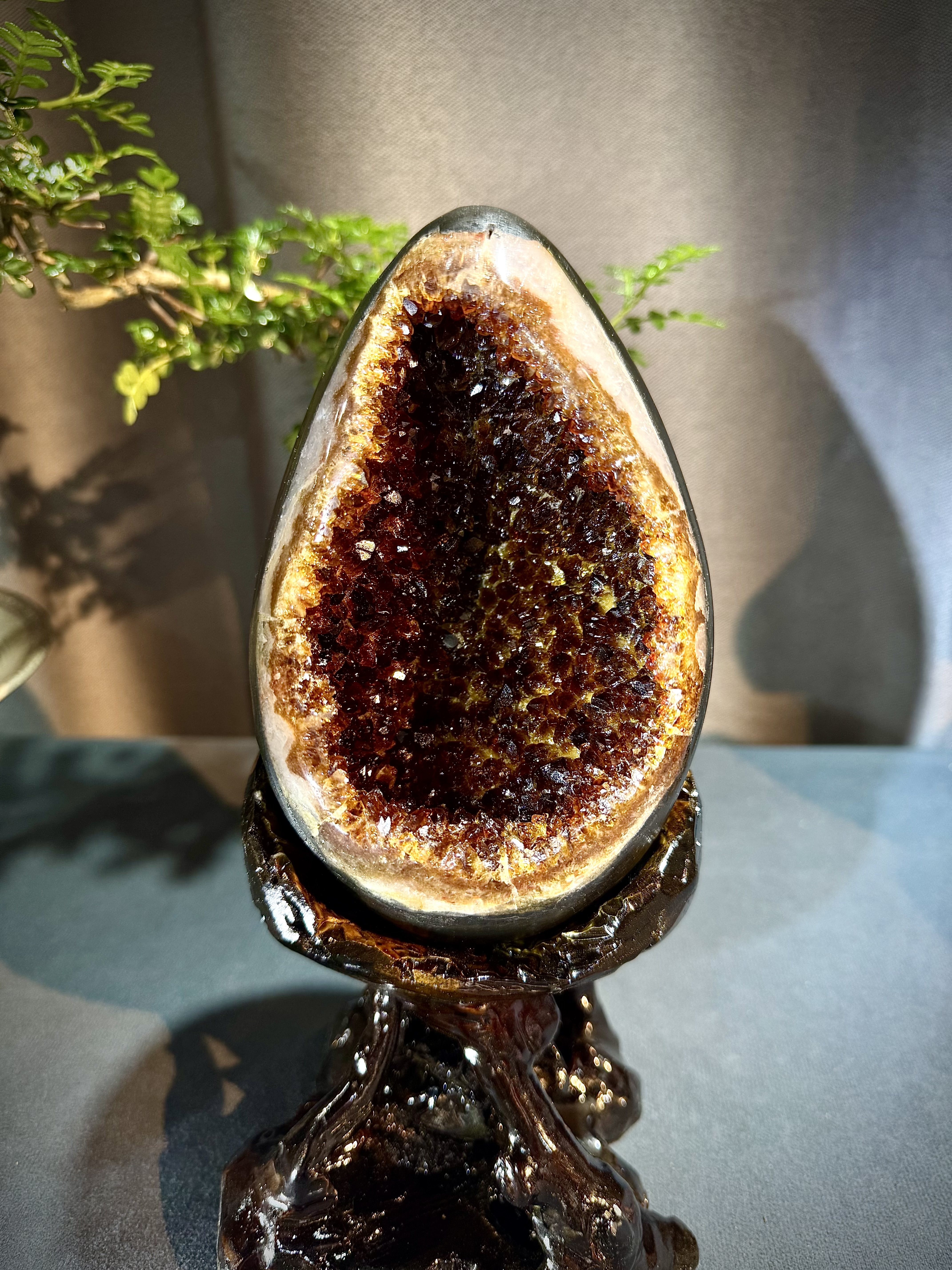 頂級焦糖恐龍蛋 7001