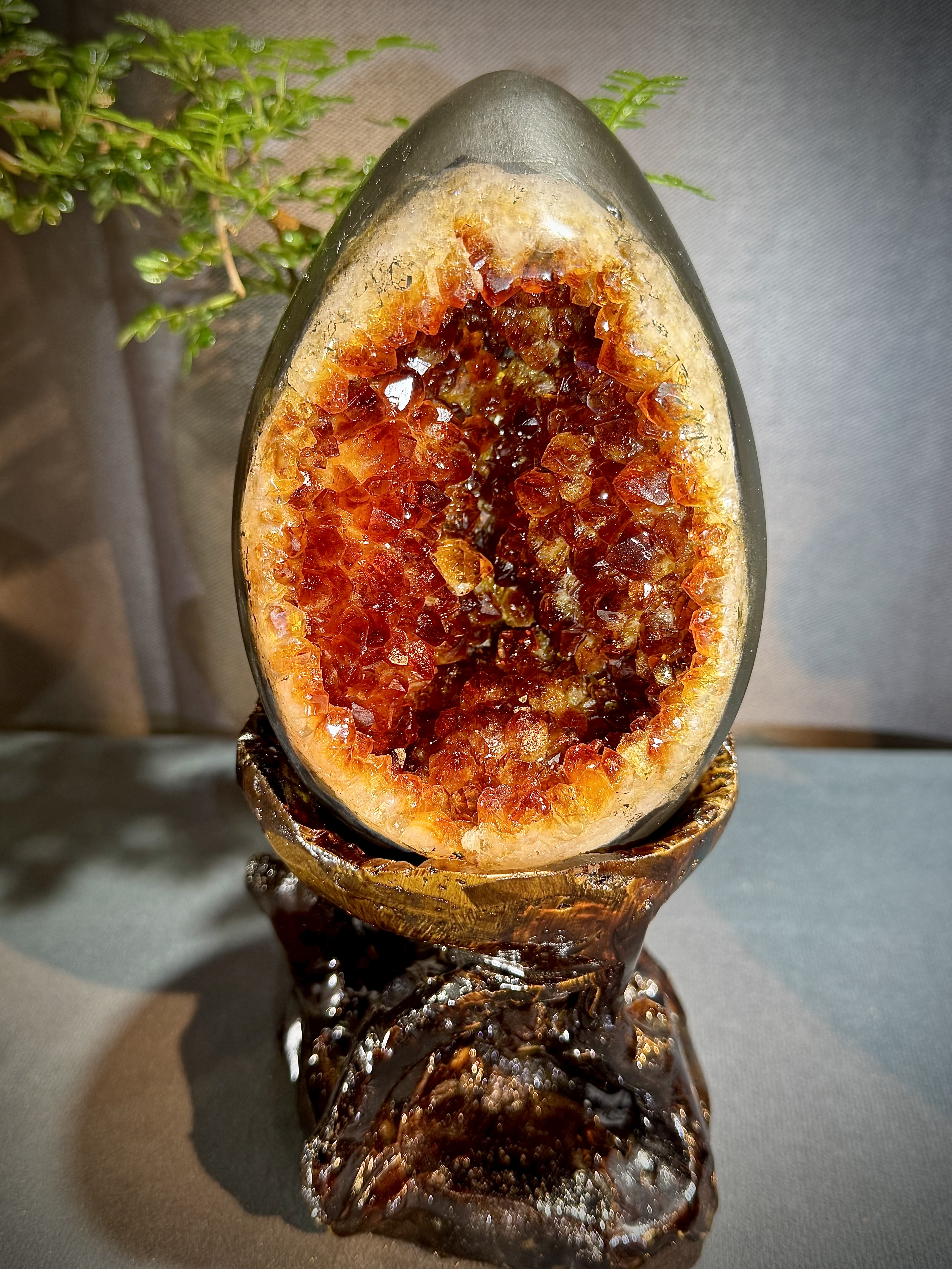 頂級焦糖黃水晶恐龍蛋 7002