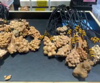 260411 -D33 龍宮舍利阿羅漢編織繩原礦石吊咀繩鏈（有機會跌珠/再生）