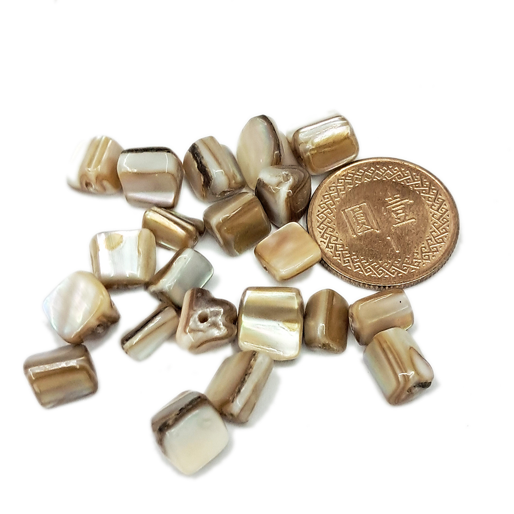 硨磲 不規則珠 0.8公分 3個【十方】141658