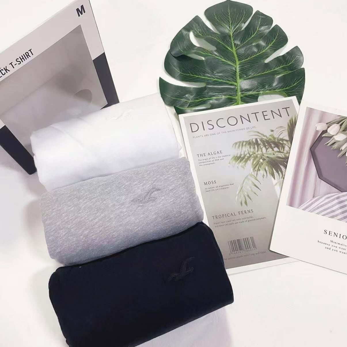 HOLLISTER 3PACK SMALL LOGO TEE 百搭配色