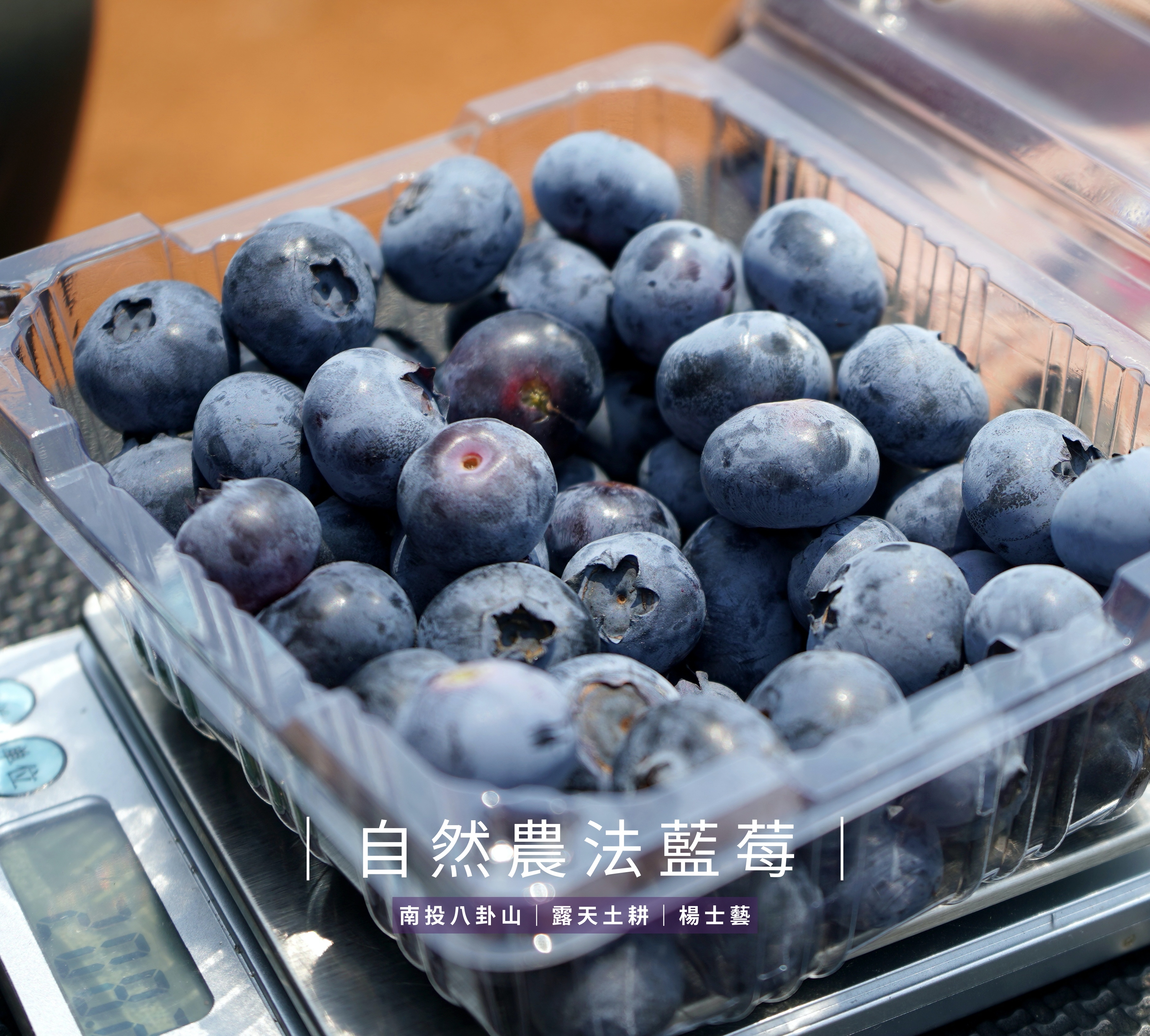 自煮生活｜南投八卦山 國產自然農法藍莓（125g盒裝）