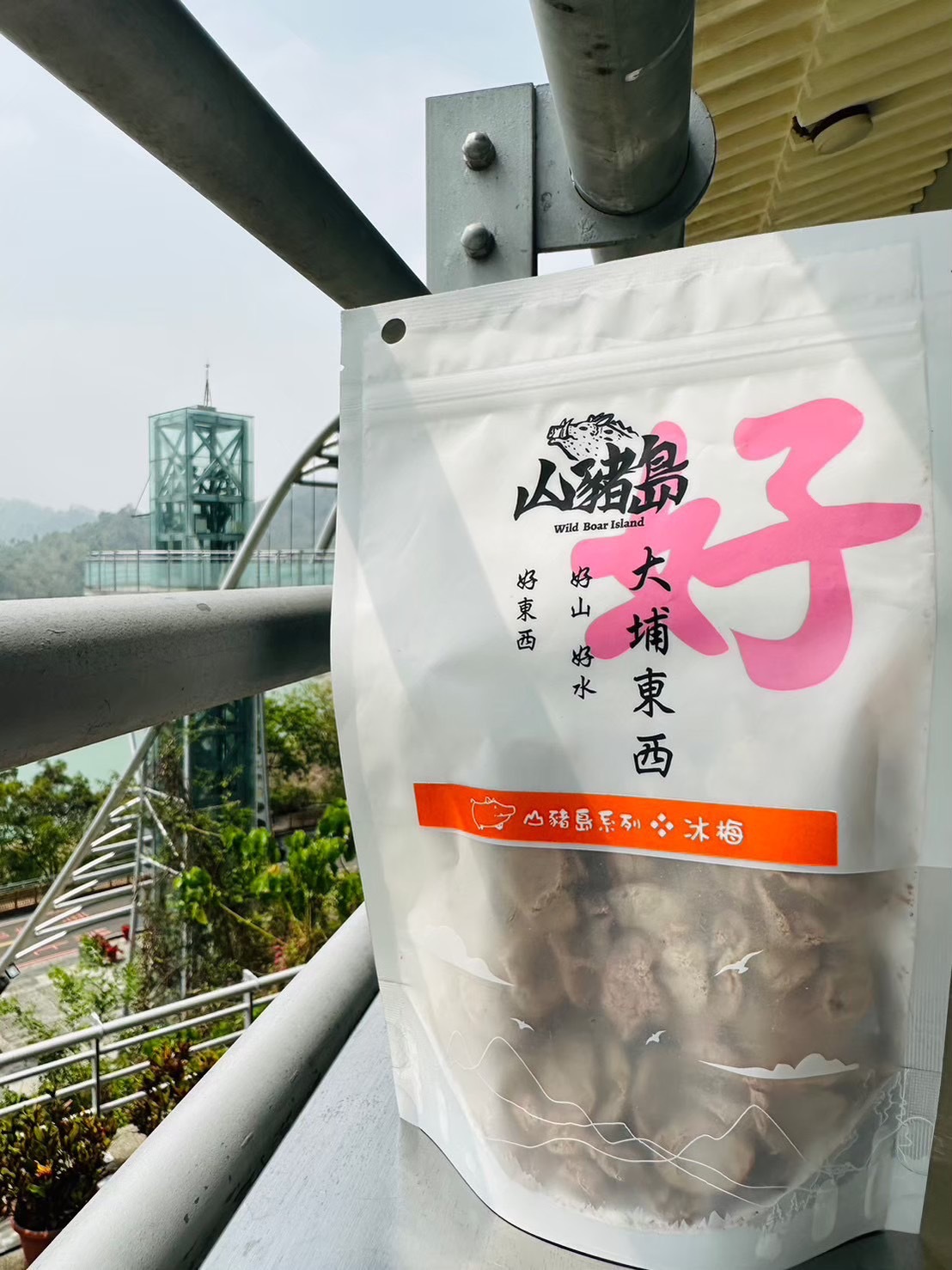 曾文水庫山豬島系列 梅子-台南趣淘漫旅