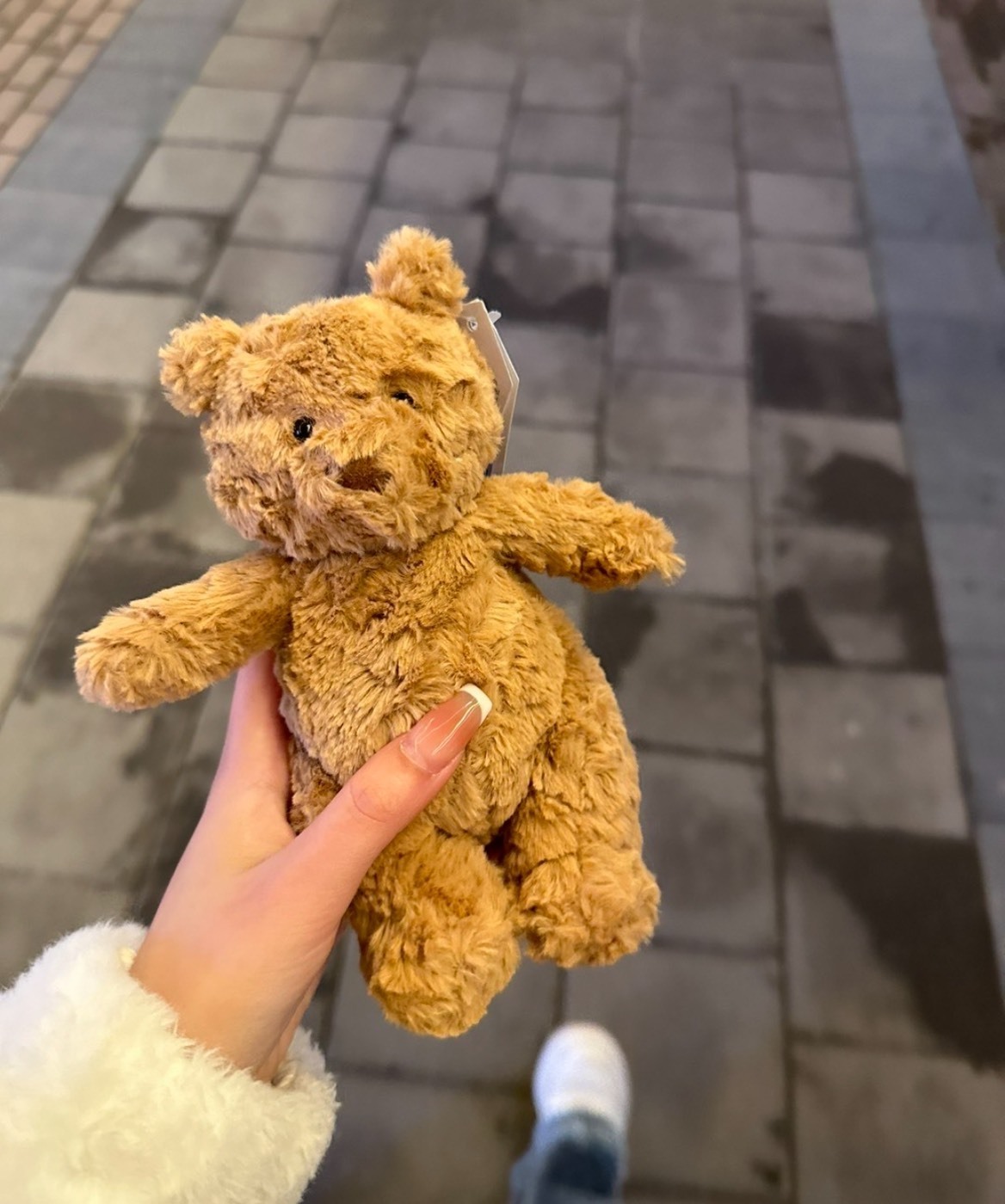 JELLYCAT 巴塞羅熊系列-Bashful Bear