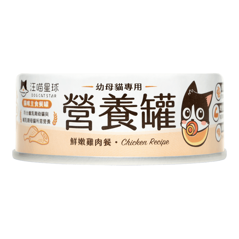 DOG CAT STAR 98% Canned Food For Pregnant Cats & Kittens (80gx24cans)