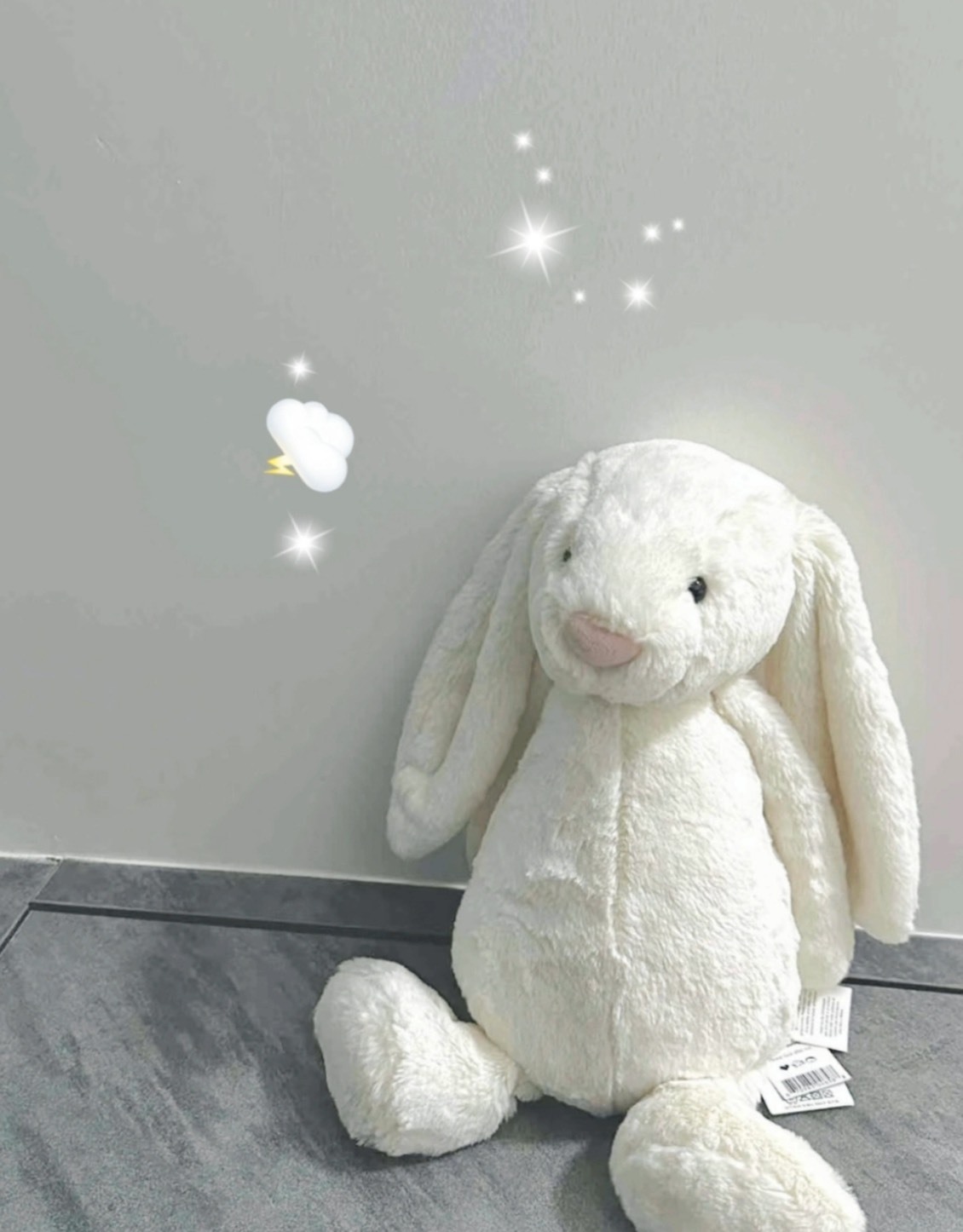 JELLYCAT 害羞系列｜白色邦尼兔