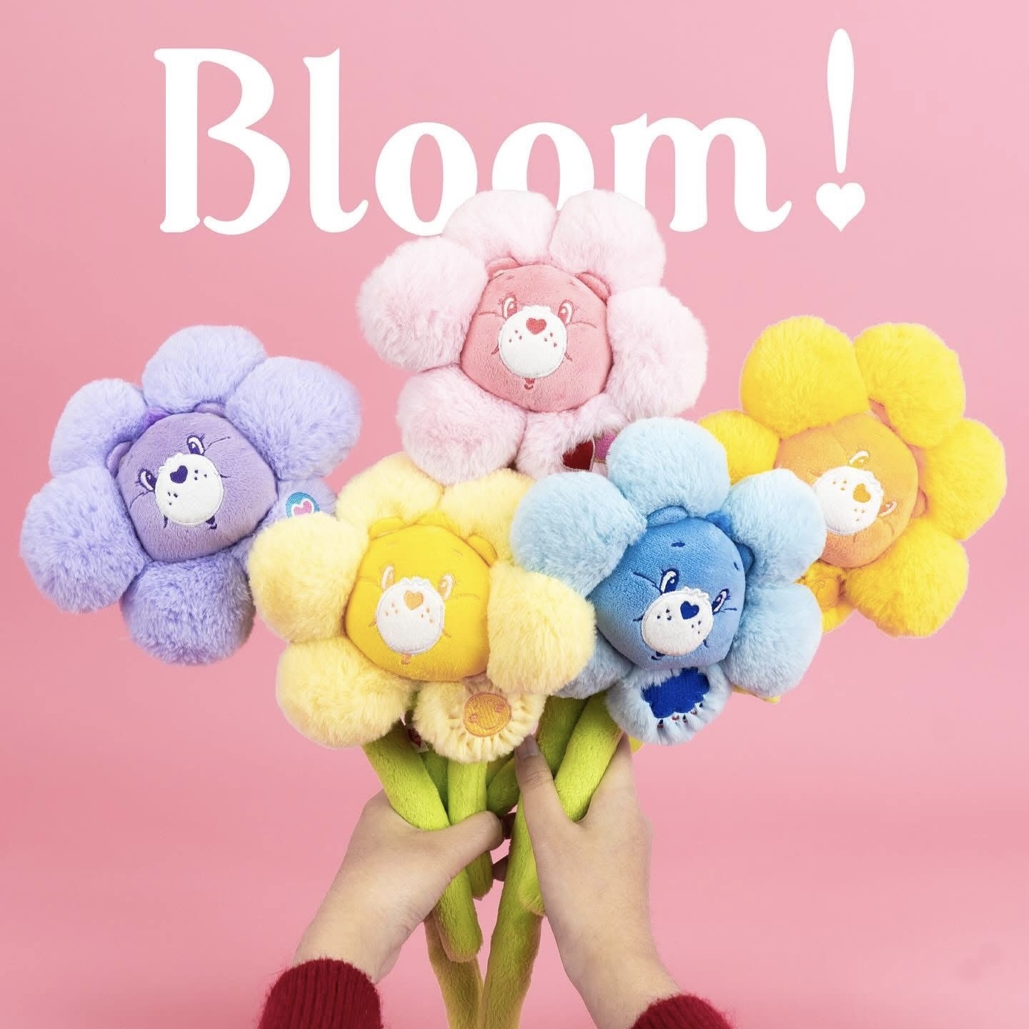 CARE BEARS BLOOM 彩虹熊 絨毛 大頭 花朵 造型盲盒指定款/代購