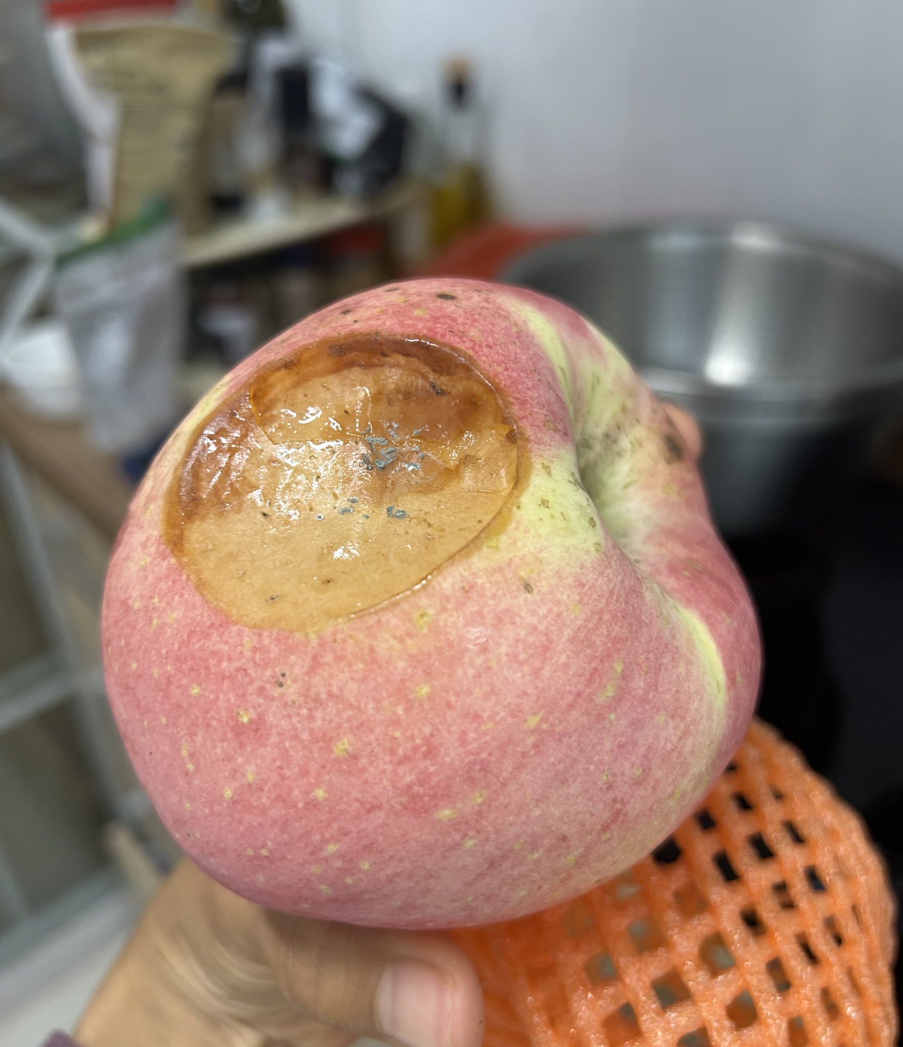 我買回來的蘋果,為什麼會爛?