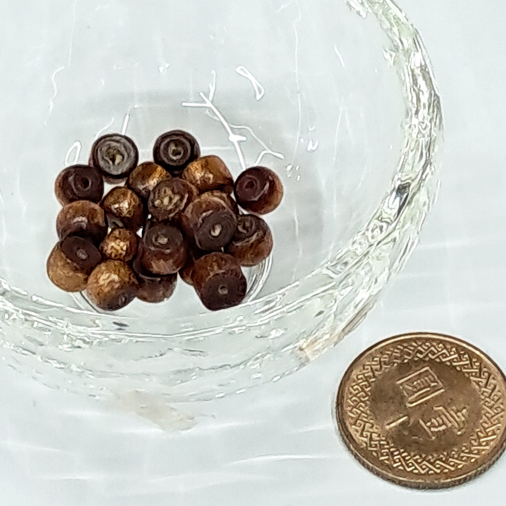 金珊瑚 圓柱珠 6mm 2個【十方】115400