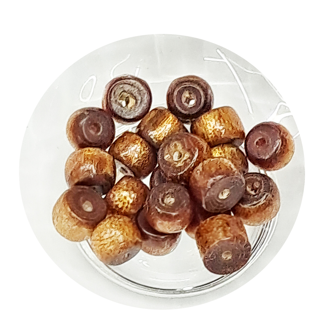 金珊瑚 圓柱珠 6mm 2個【十方】115400