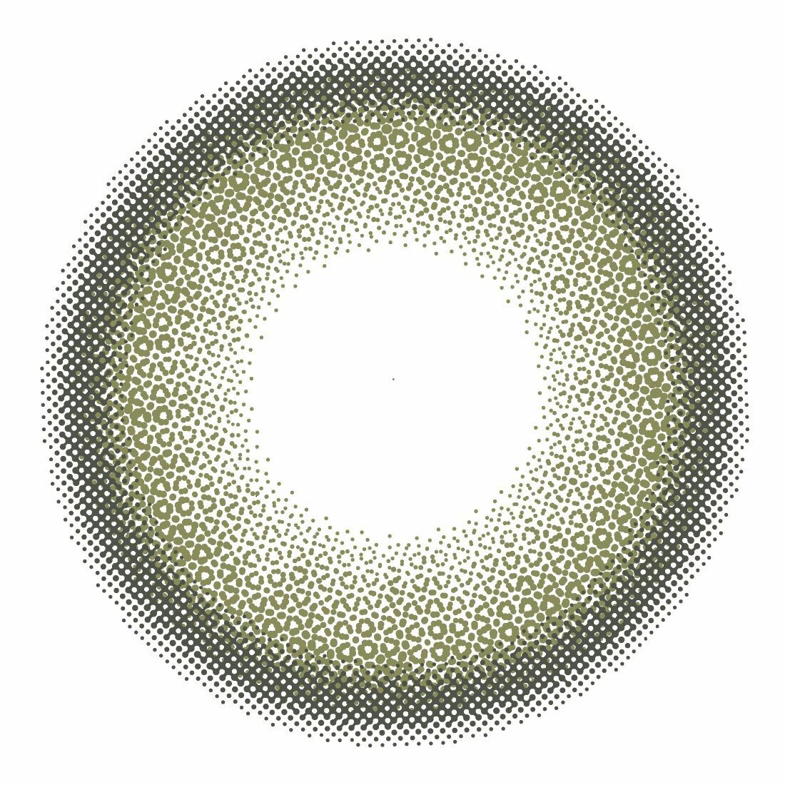 [日拋] rain 1 Day  Siberian Olive 彩妝隱形眼鏡｜每盒10片