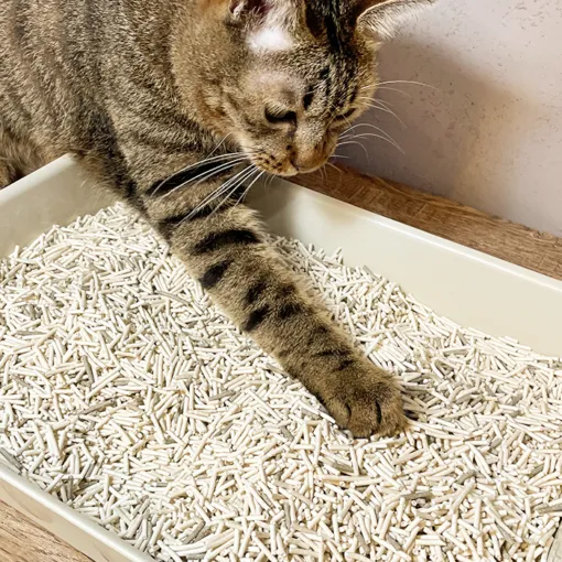 汪喵星球｜益生菌消臭豆腐砂（條型）