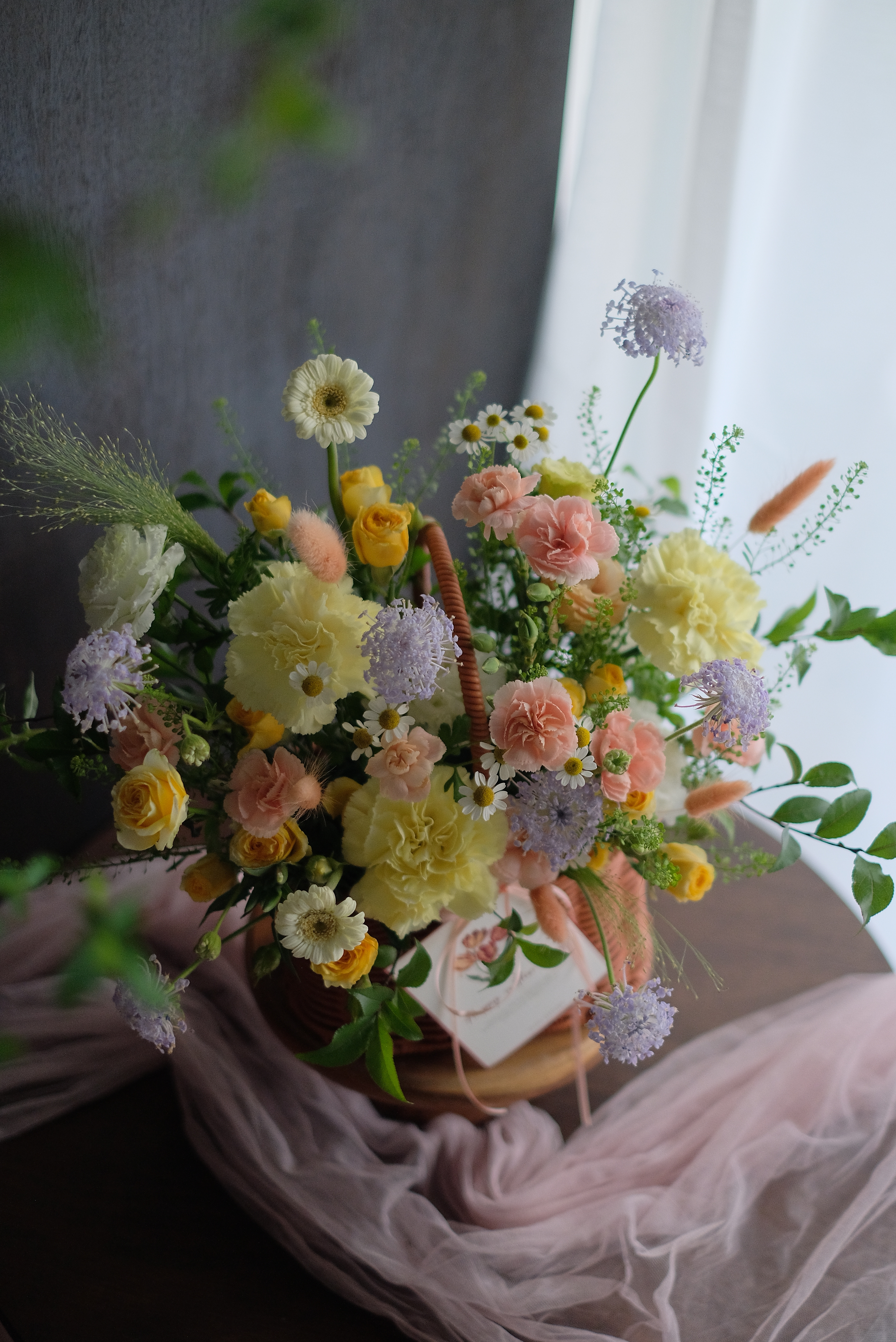 爛漫春日｜提籃花