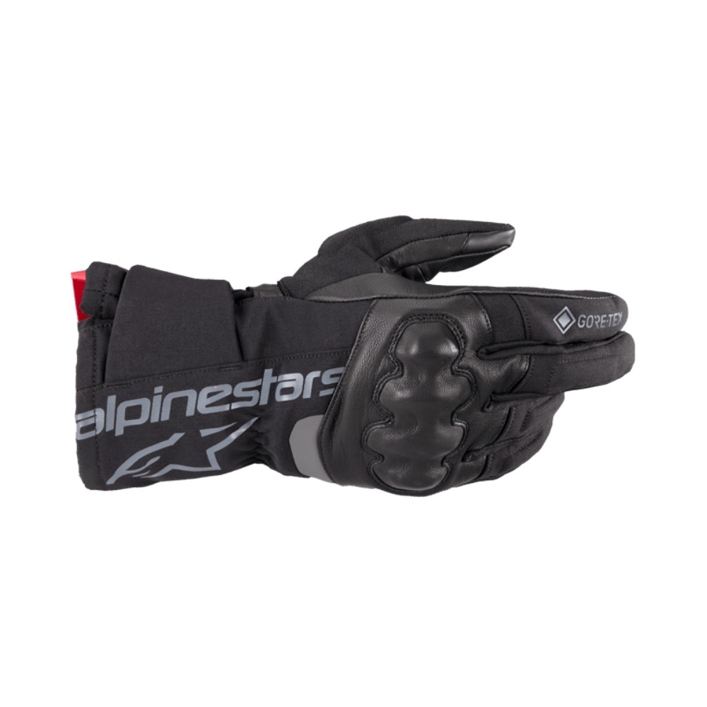 Wt-4 Gore-Tex Insulated Glove