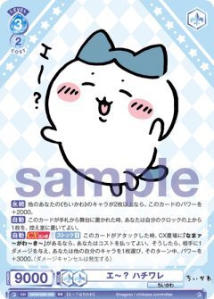 【CIKW/02B-050 RR】エ〜？ ハチワレ