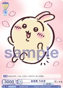 【CIKW/02B-013 N】お花見 うさぎ