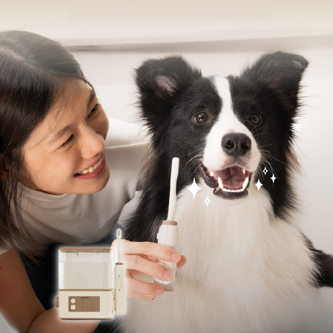 【Widelife】BLAUPUNKT 藍寶寵物潔牙機│BPH-TB02RP