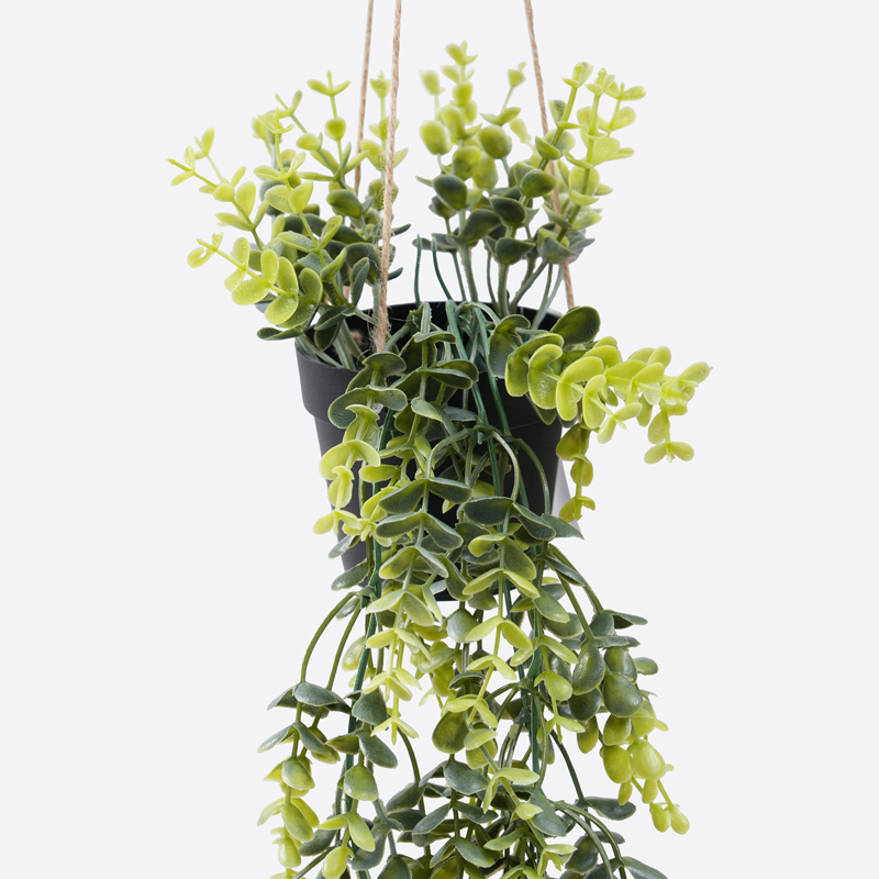 SP 吊掛式仿真裝飾植物/牛至