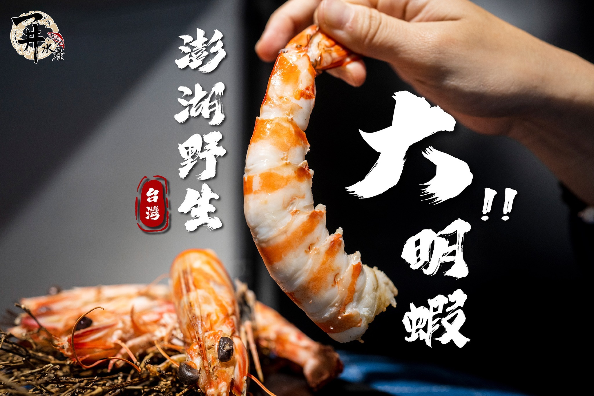 澎湖 活凍野生大明蝦