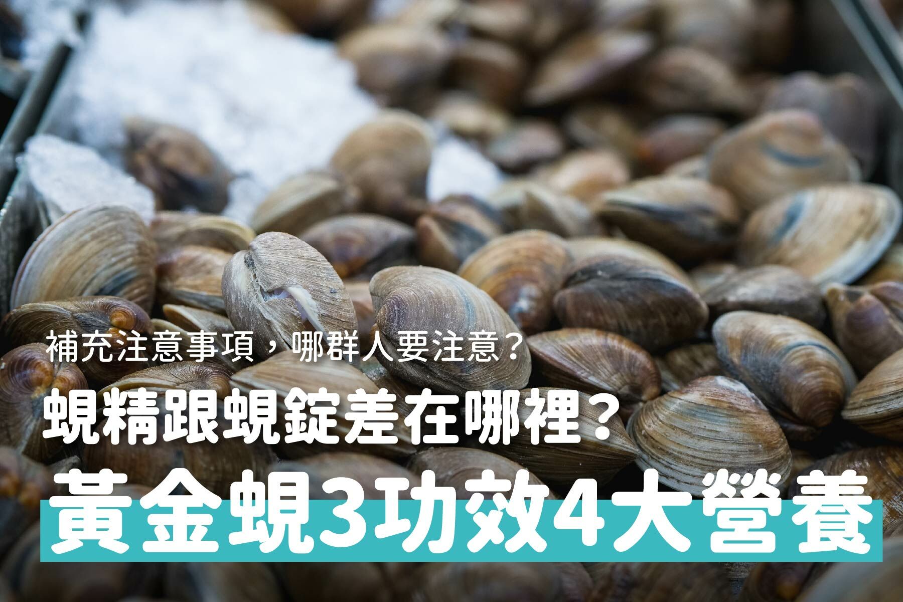 黃金蜆是什麼？蜆精跟蜆錠差在哪裡？