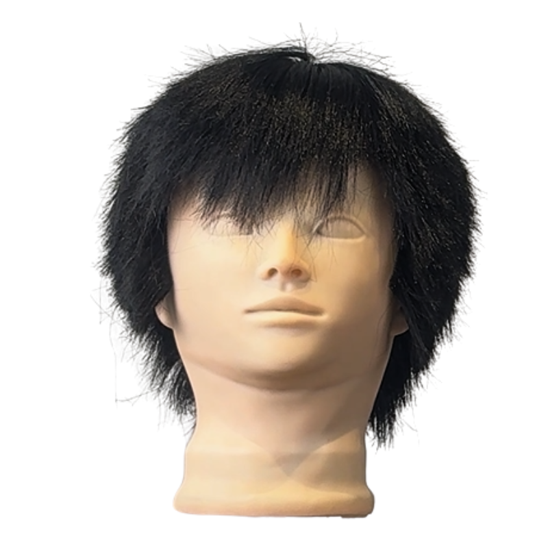 朴先生(可蓄髮假人頭)