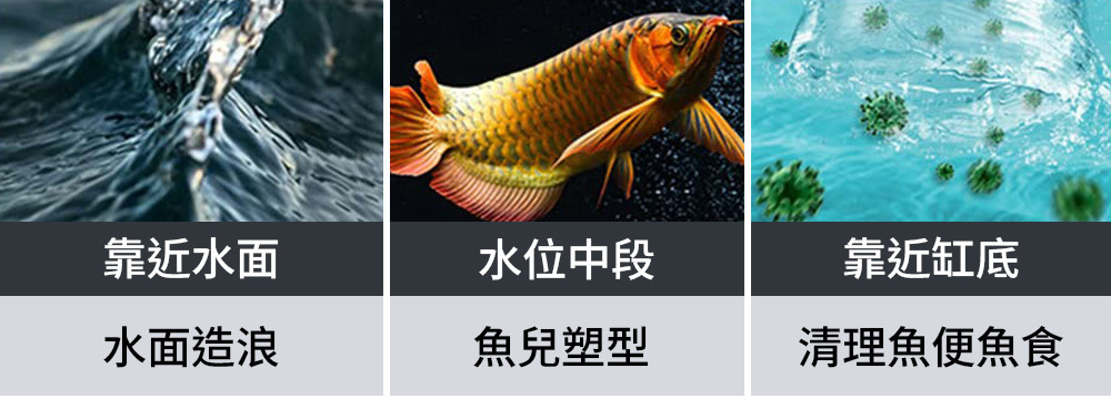 循環水質,可均衡魚缸溫度,水面造浪,魚兒塑型 快速清理魚便魚食,減少水質汙染
