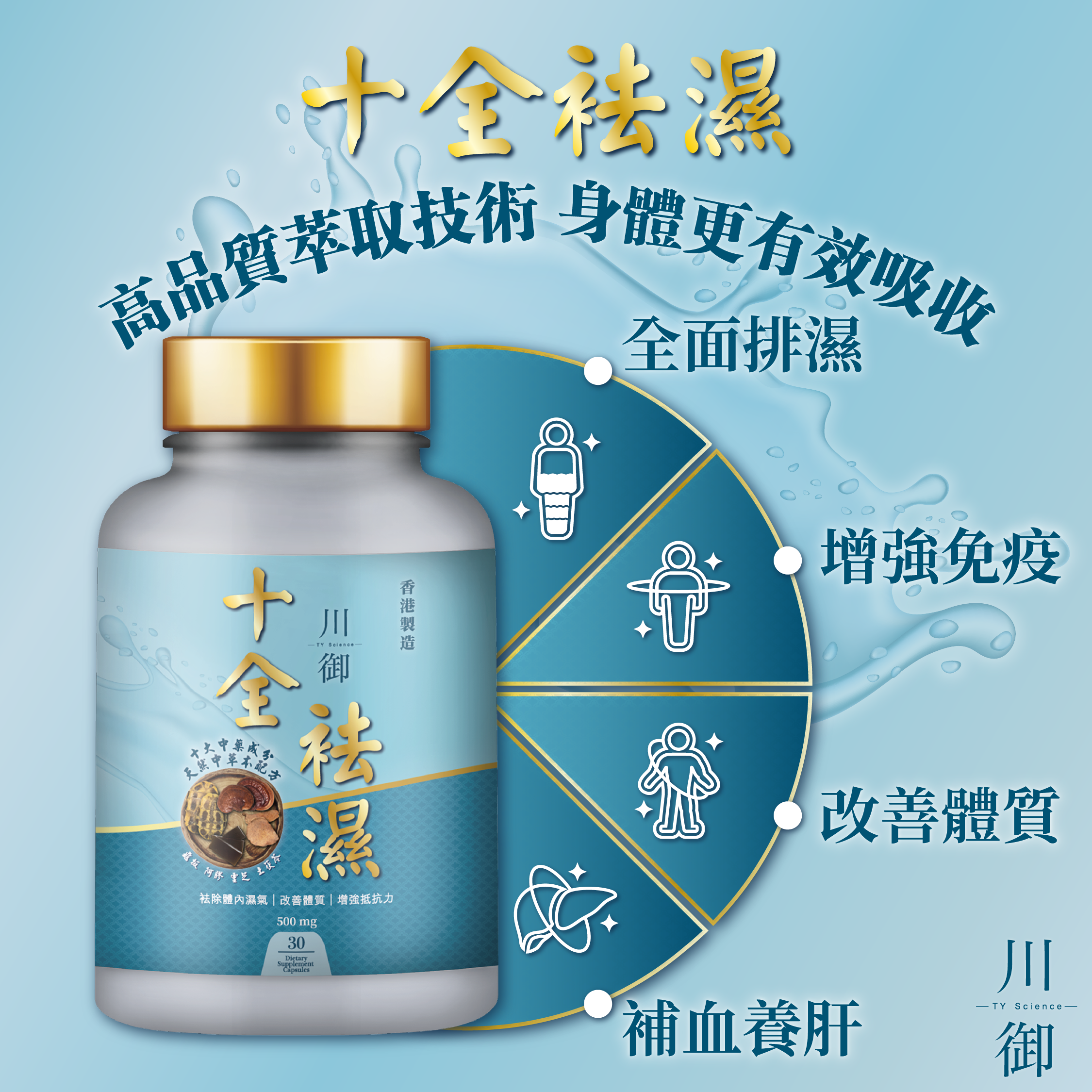 『老子』經典化過程の研究 細胞老化に関する研究論文の概要 - Genspark