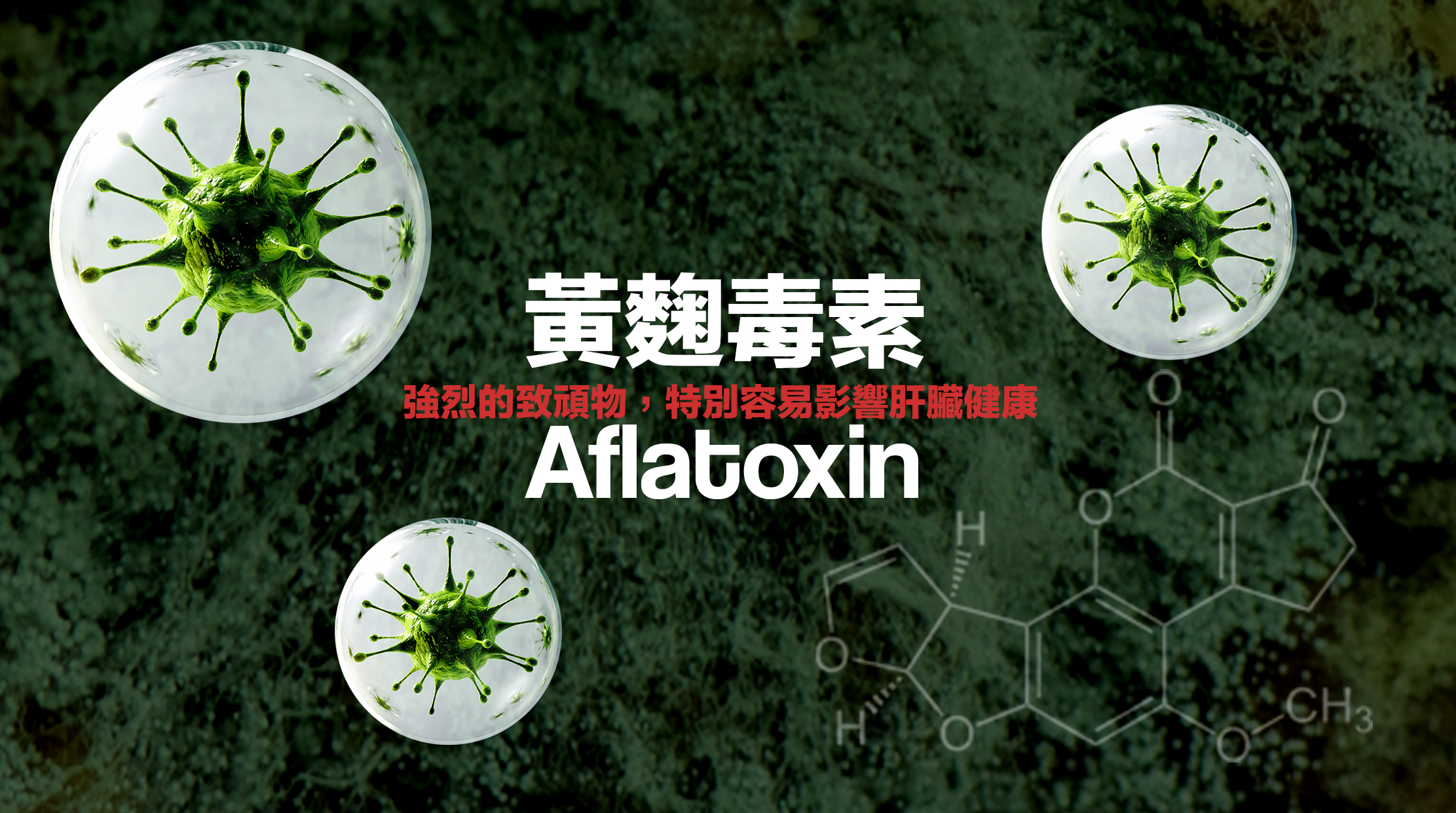 然而，真正危險的並不只是這些肉眼可見的霉菌，而是它們所產生的「黃麴毒素」（Aflatoxin）。黃麴毒素是一種強烈的致頑物，特別容易影響肝臟健康，長期攝取甚至可能導致肝頑的發生。世界衛生組織已將黃麴毒素列為一級致頑物，即使極微量的攝取也可能對肝細胞造成傷害。而且這種毒素極為耐熱，即使在260°C的高溫下仍難以完全分解。因此唯一的處理發霉食物的方式，就是直接丟棄。