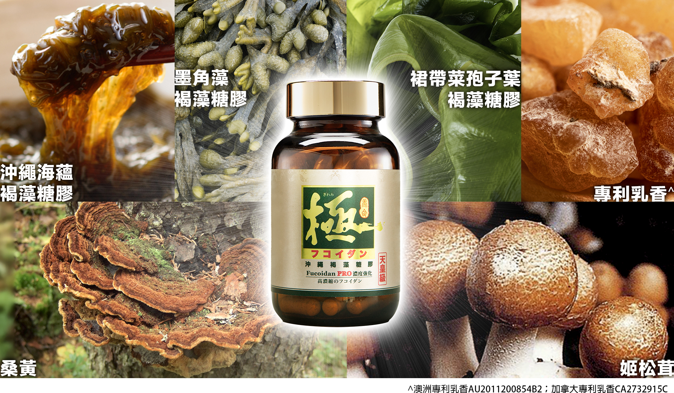 褐藻糖膠幫助對抗肝患異細胞  如果不幸確診肝患，也不必過於擔心，因為有方法可以幫助提升免疫系統並對抗異細胞。全新第2代醫藥級「極·沖繩褐藻糖膠」經過多項科學測試，證實可有效抑制肝異細胞增生，抑制率高達96.5%。這款產品結合了海蘊褐藻糖膠、墨藻糖膠、裙帶菜糖膠、專利乳香、桑黃及姬松茸六種高效成分，能夠幫助肝患患者強化免疫系統，減少異細胞增生與擴散，為身體提供一個全方位的防禦屏障。