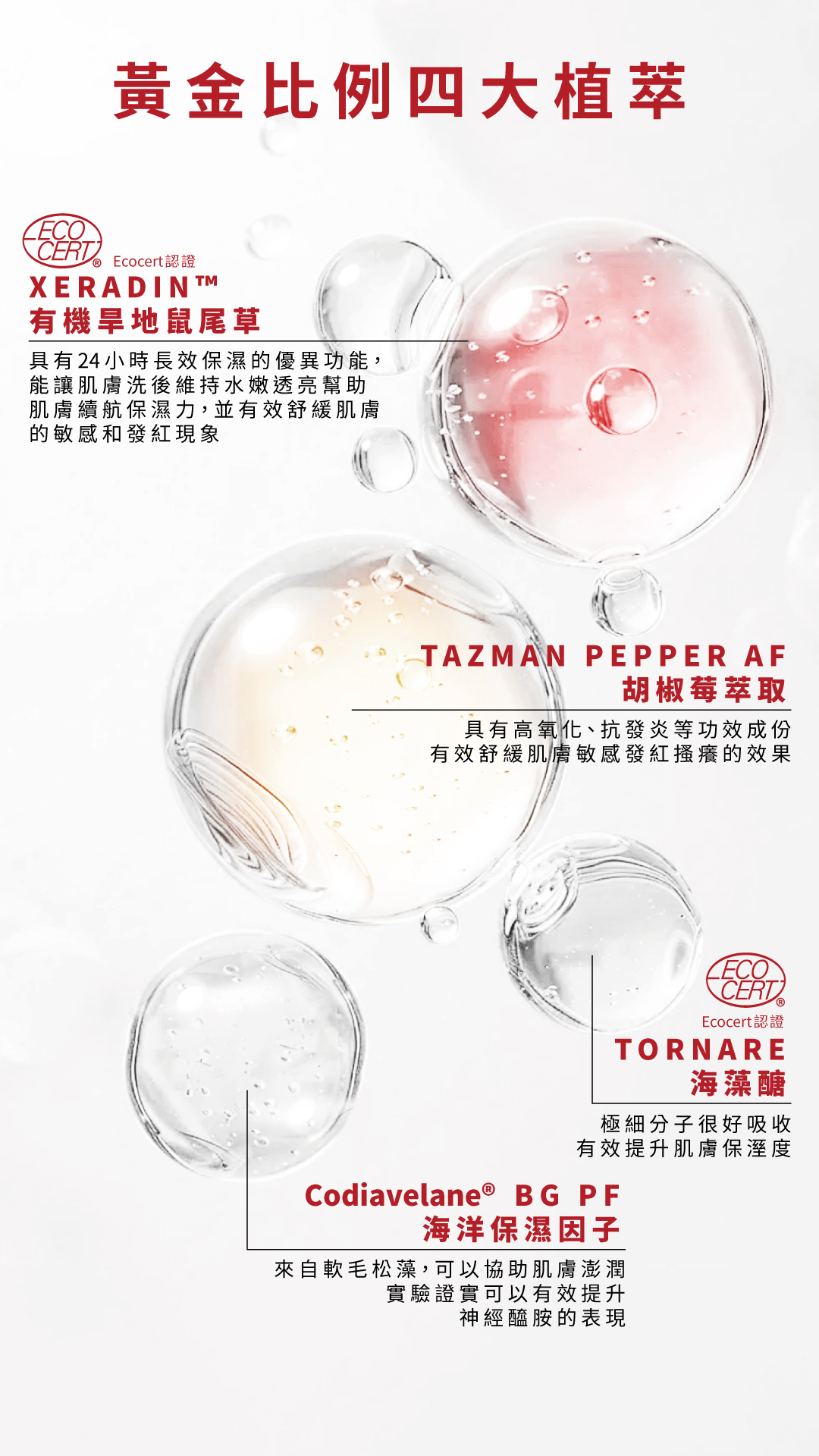露草 ZCJ BEAUTY｜鼠尾草潔顏露B3 Facial Cleanser