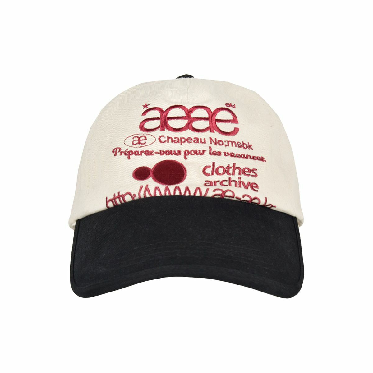 AEAE WEB LOGO 5PANNEL CAP
