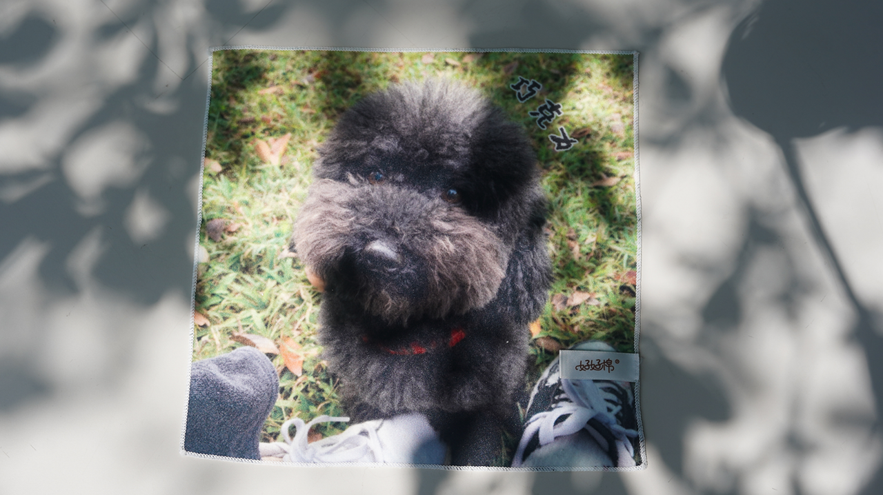 狗狗圖片，收納布