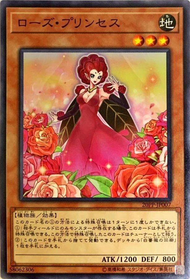 20PP-JP007 ローズプリンセス