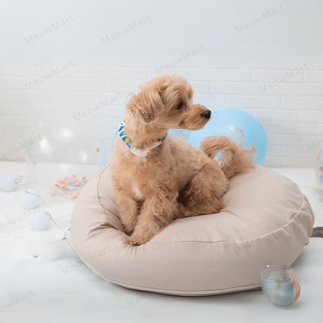 日本HI! MY ZOO寵物瞬間冷凍頸圏