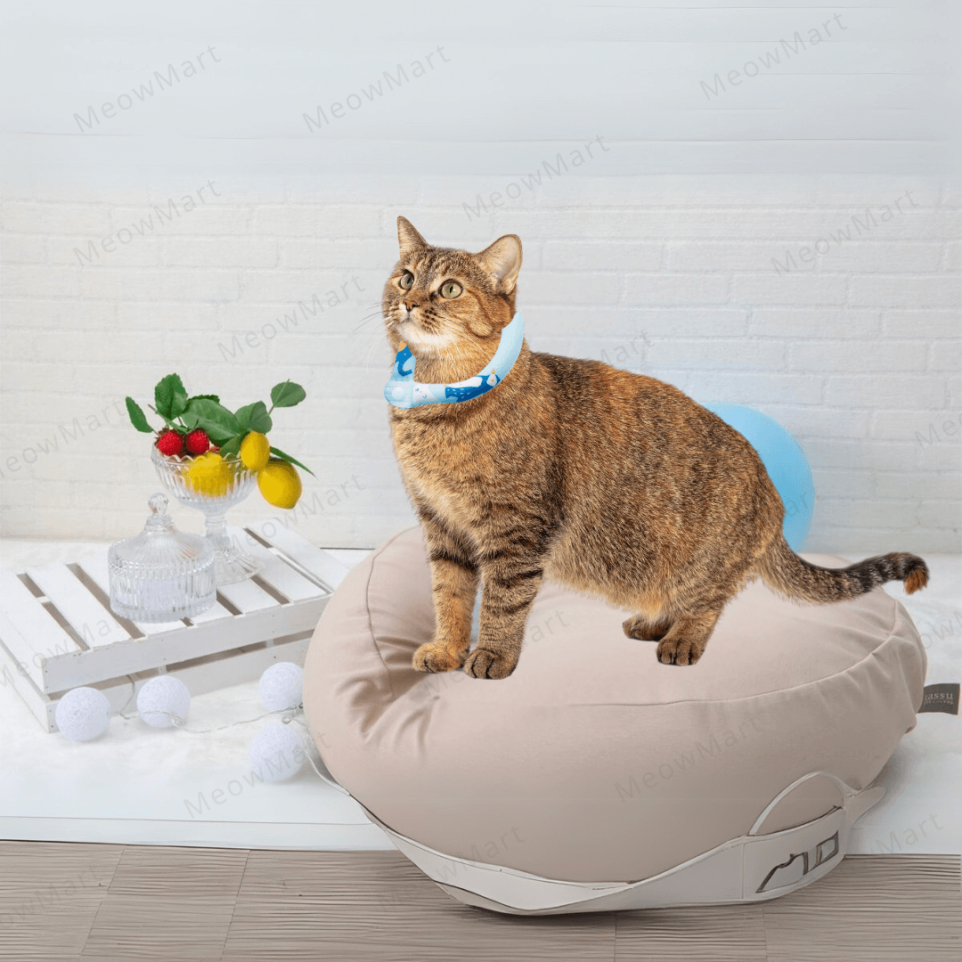 日本HI! MY ZOO寵物瞬間冷凍頸圏