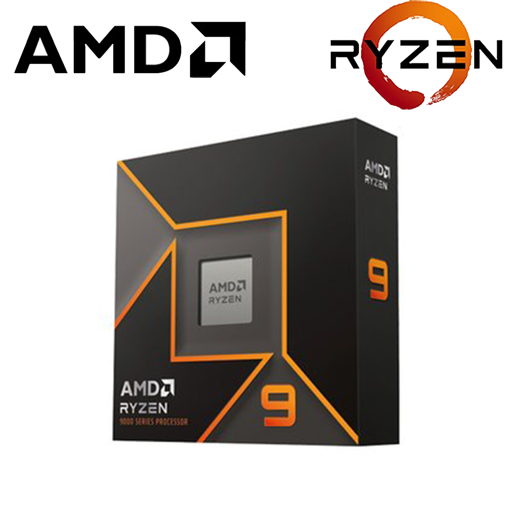 AMD  Ryzen R9 9900X
