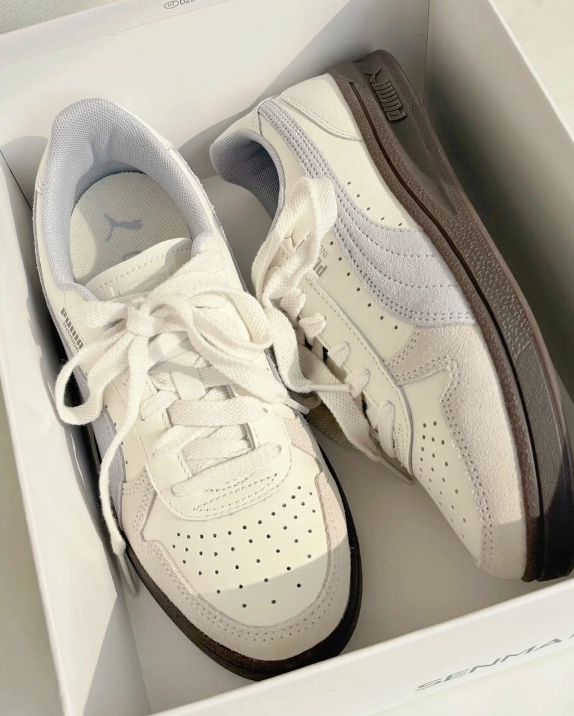 PUMA 米白色低幫板鞋 男女同款（舒適防滑款）