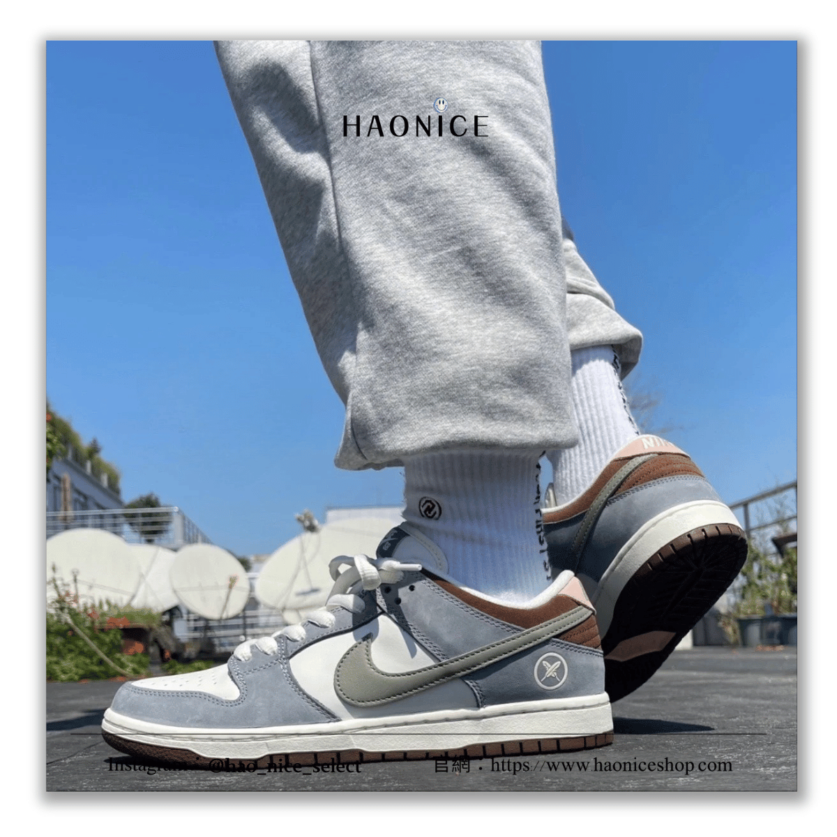 【HAO NICE】100%正品🔥NIKE DUNK‌ LOW x Yuto Horigome聯名 經典logo灰白配色休閒板鞋 運動鞋FQ1180-001