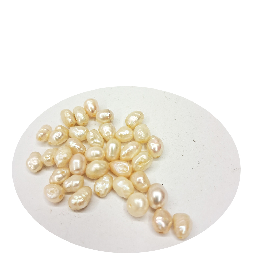 珍珠 珠0.5*0.6公分 配件3個【十方】144123