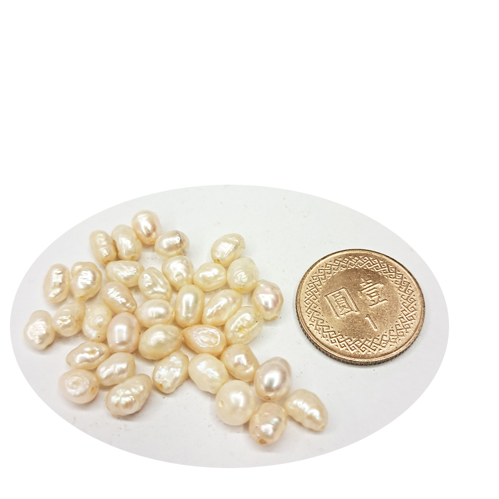 珍珠 珠0.5*0.6公分 配件3個【十方】144123