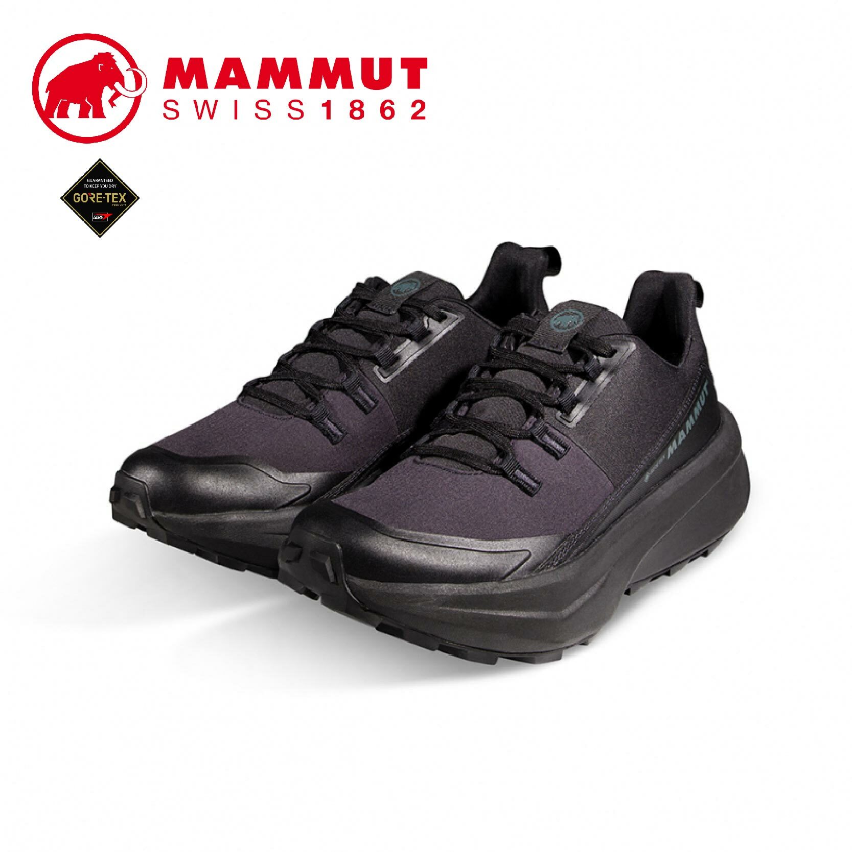 MAMMUT 長毛象 Aenergy Hike Low GTX 防水低筒GTX健行鞋(男款) 33MM05230