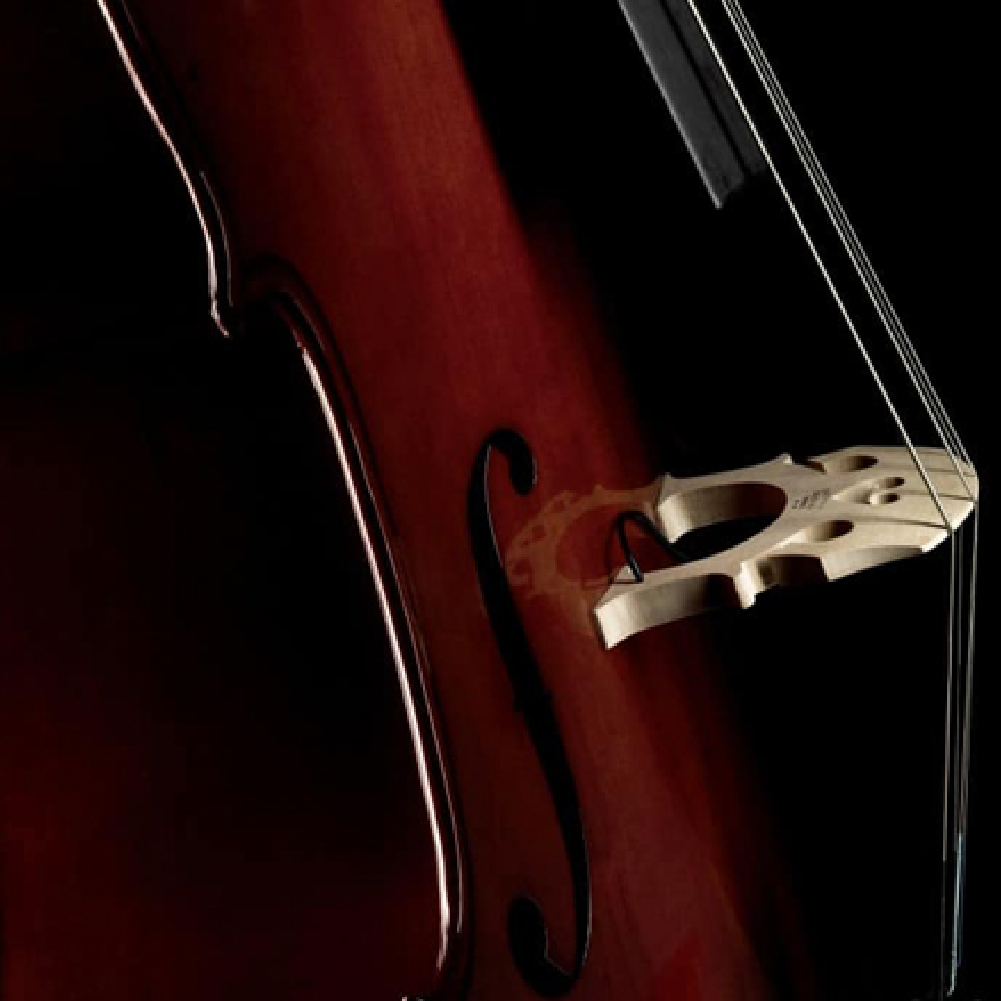 Fishman / C-200 Concert Series Cello Pickup 大提琴拾音器 圖 2