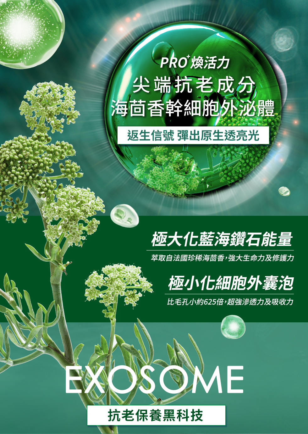 PRO 煥活力尖端抗老成分海茴香幹細胞外泌體返生信號 彈出原生透亮光極大化藍海鑽石能量萃取自法國珍稀海茴香,強大生命力及修護力極小化細胞外囊泡比毛孔小約625倍,超強滲透力及吸收力EXOSOME抗老保養黑科技