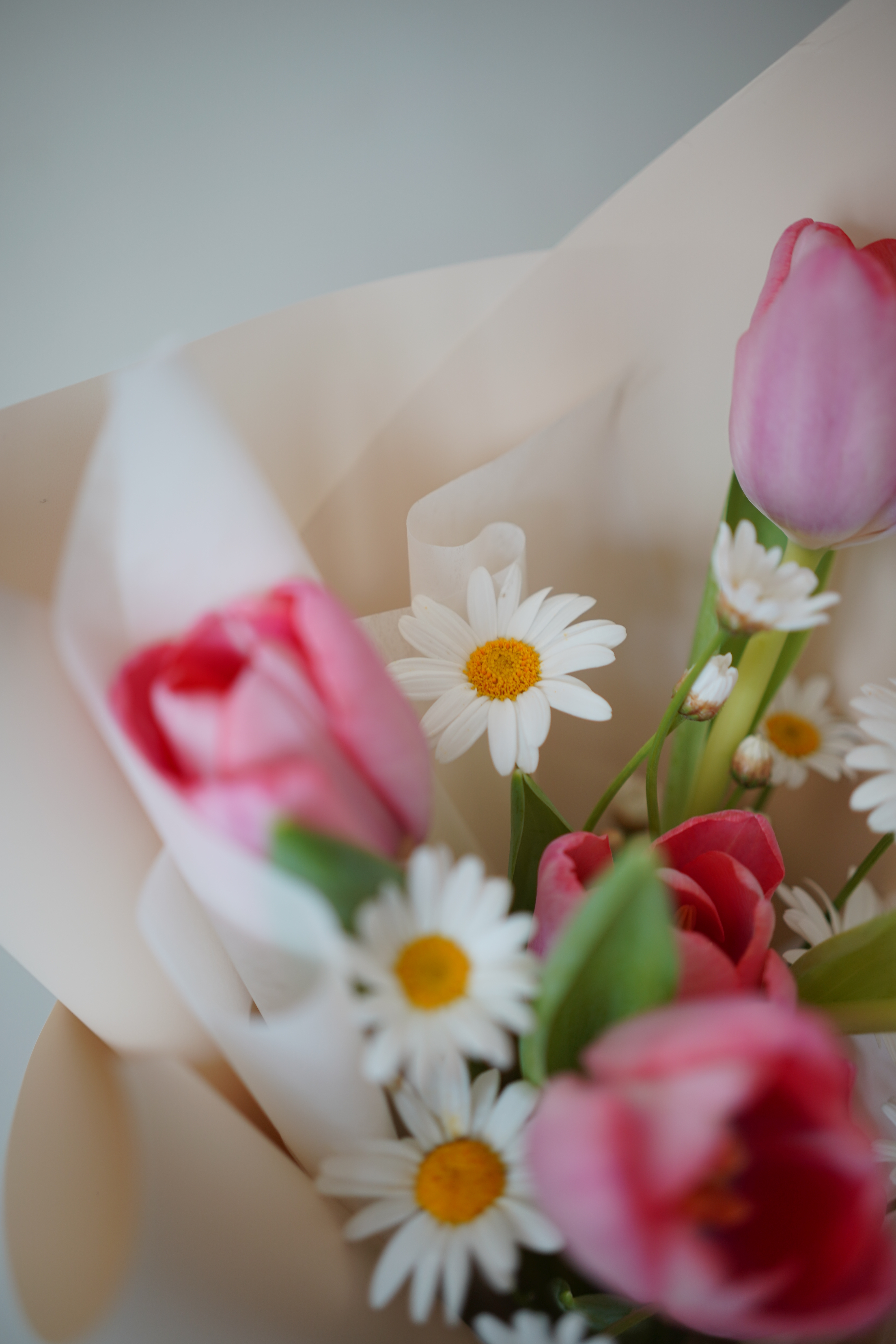 Blooming.sein 林粼花藝設計 花束 花禮 粉色系 鬱金香花束