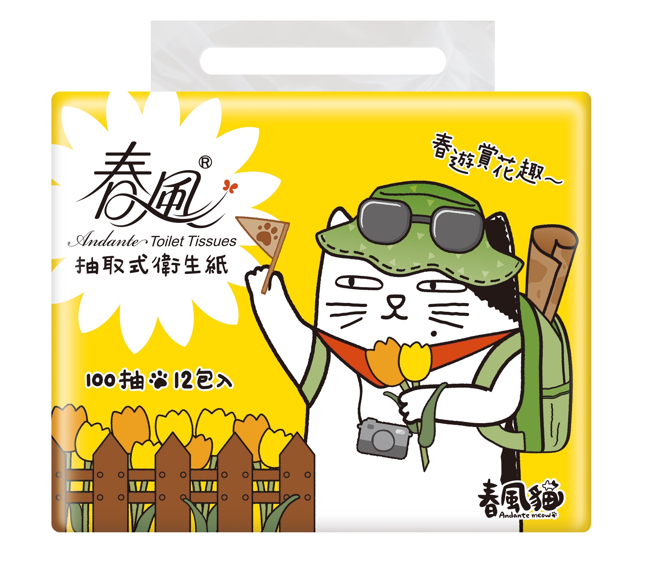 春風貓抽取式衛生紙(100抽X12包X6串)