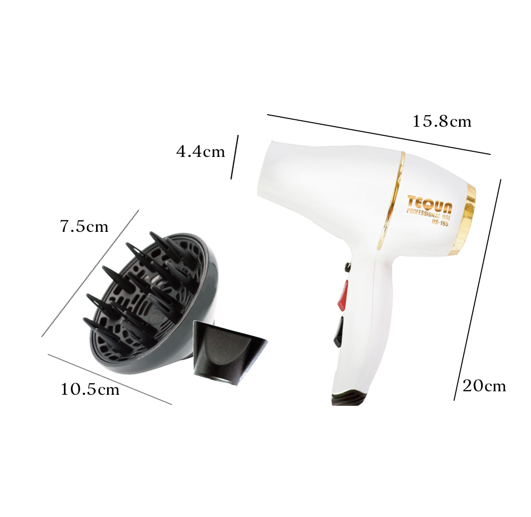 TEQUN HS-165急速經典吹風機