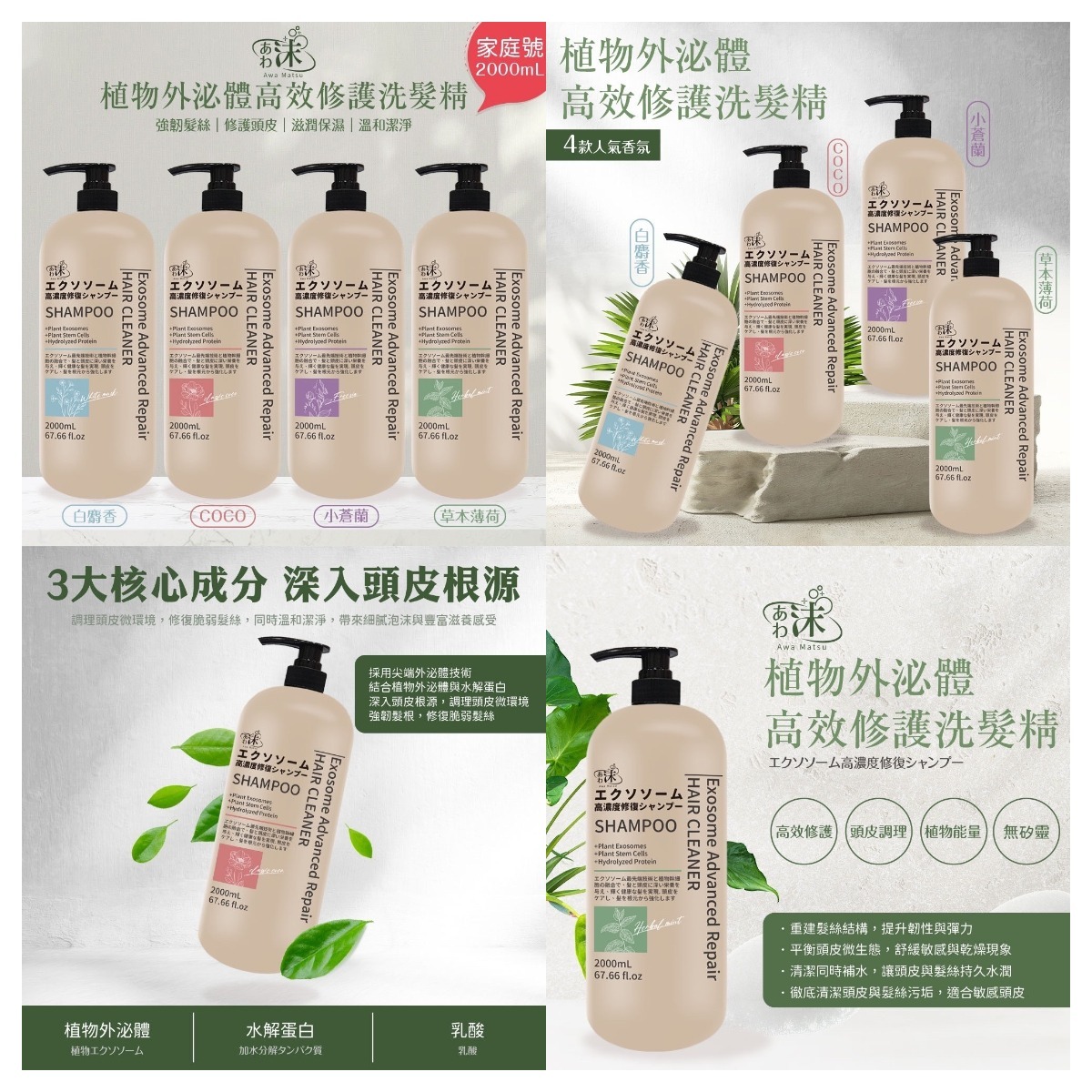 專業沙龍美髮 天然洗髮精升級版